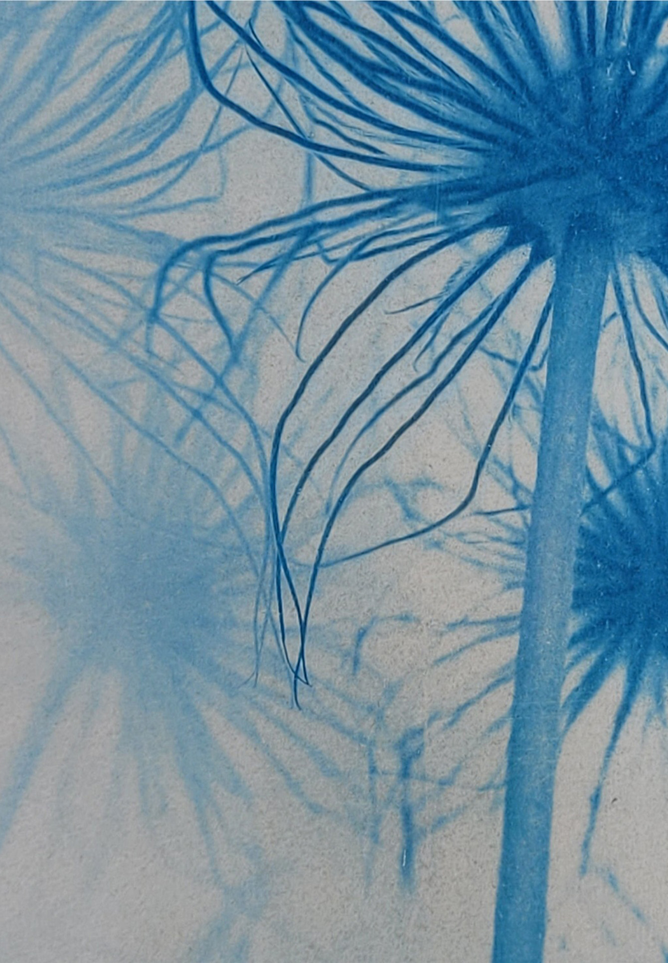 Aphrodites Tränen 2